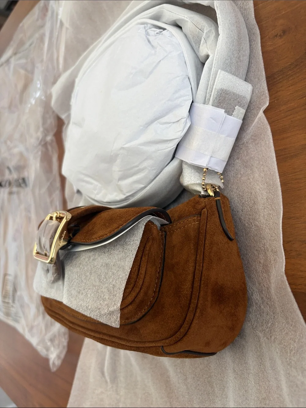 NEW! Coach Ashton Suede Mini Shoulder Bag Crossbody Purse